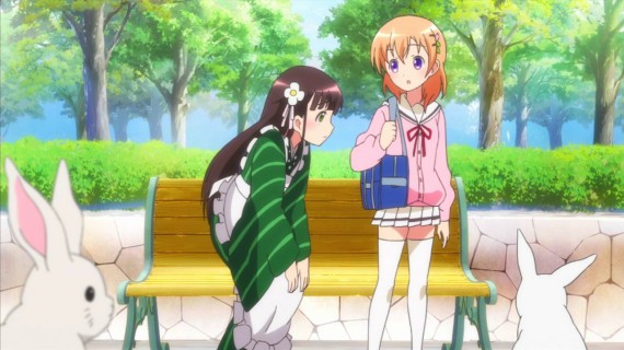 うさぎ79