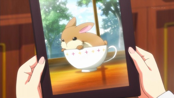 うさぎ155