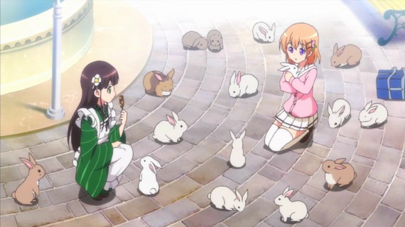 うさぎ73