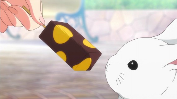 うさぎ71