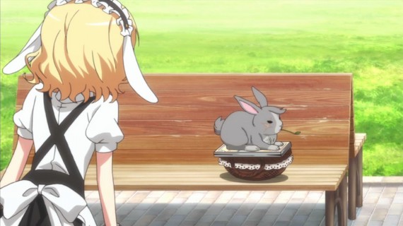 うさぎ593
