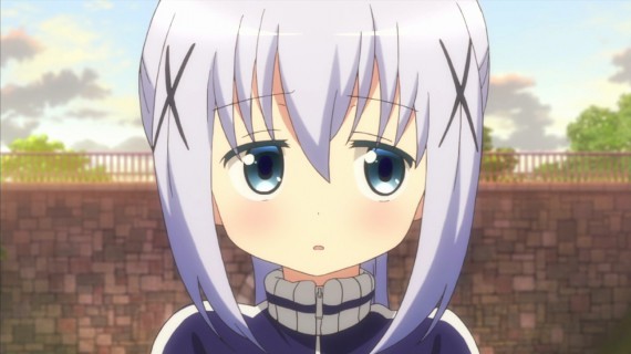 うさぎ342