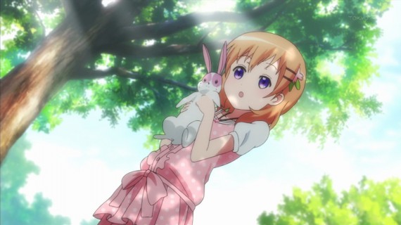 うさぎ455