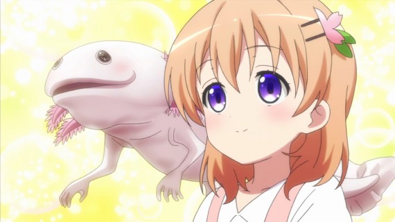 うさぎ559