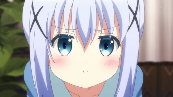 うさぎ564