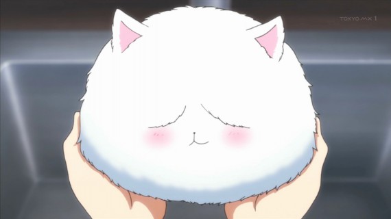 うさぎ793