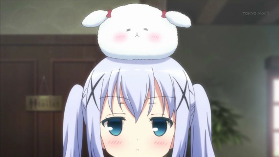 うさぎ847