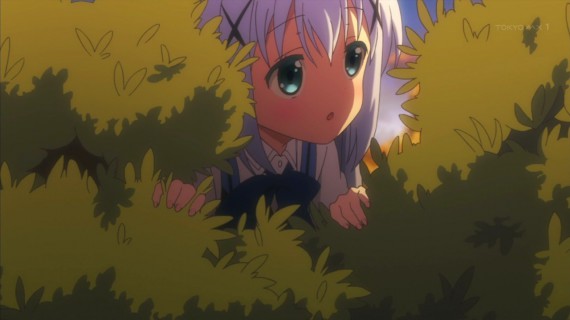 うさぎ815