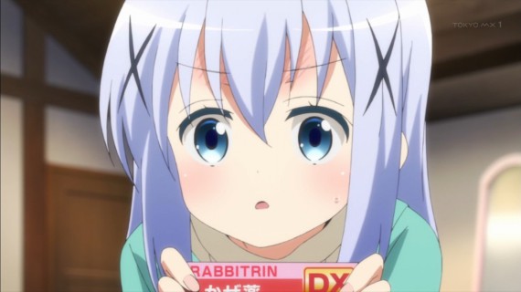 うさぎ1130