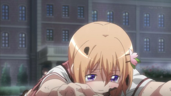 ココア31