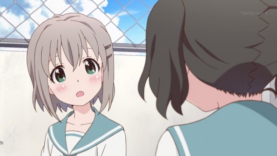 ヤマノススメ480