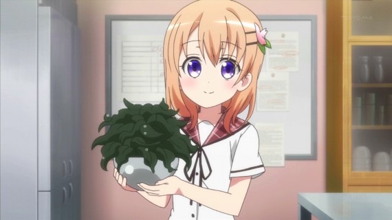 ココア28