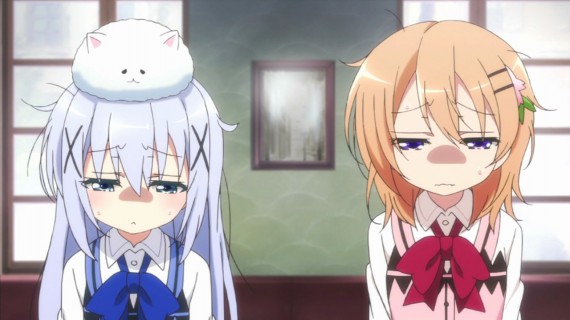 ココア12