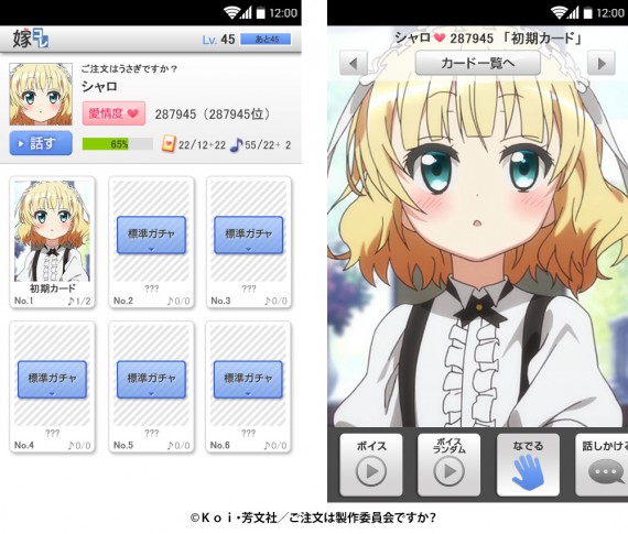 嫁コレシャロ0001