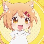 『にゃんこデイズ』まーのTシャツ全集