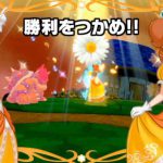 「スマブラSP」初級者体験記
